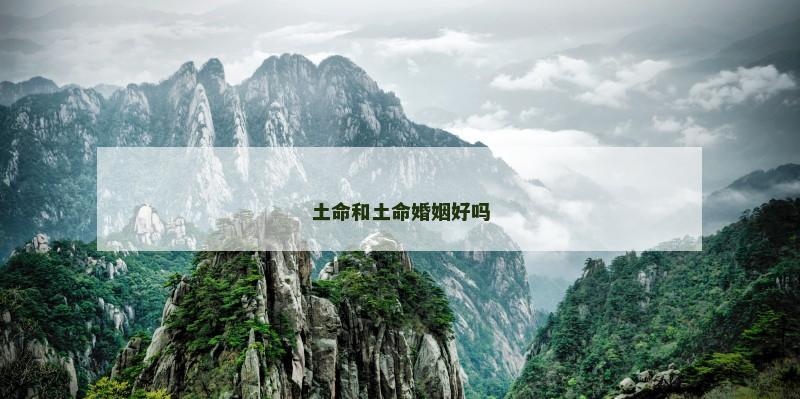 土命和土命婚姻好吗