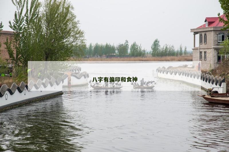 八字有偏印和食神