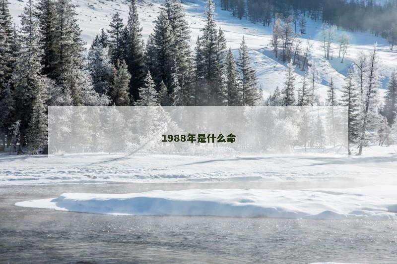 1988年是什么命