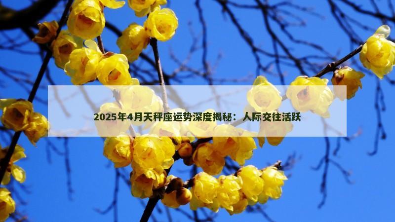 2025年4月天秤座运势深度揭秘：人际交往活跃