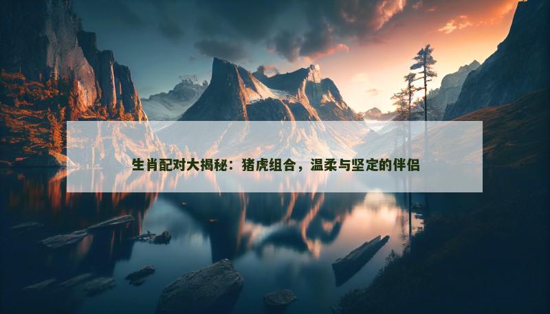 生肖配对大揭秘：猪虎组合，温柔与坚定的伴侣