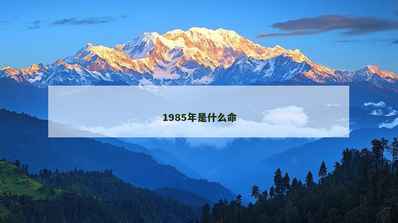 1985年是什么命