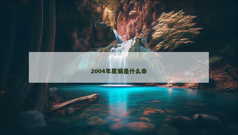 2004年属猴是什么命