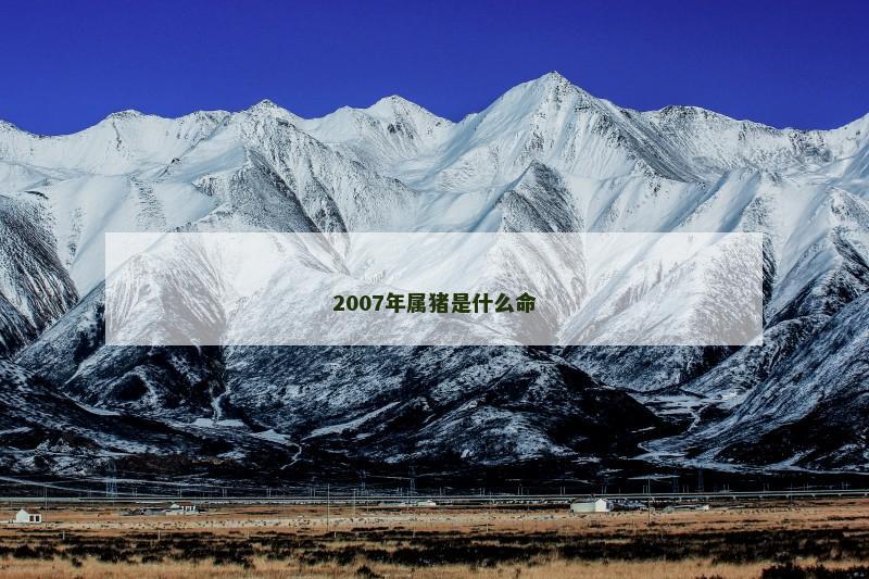 2007年属猪是什么命