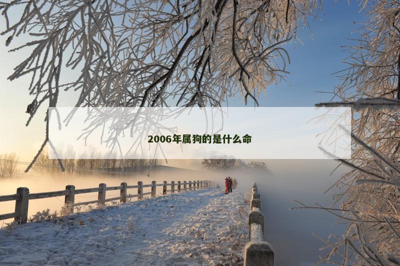 2006年属狗的是什么命