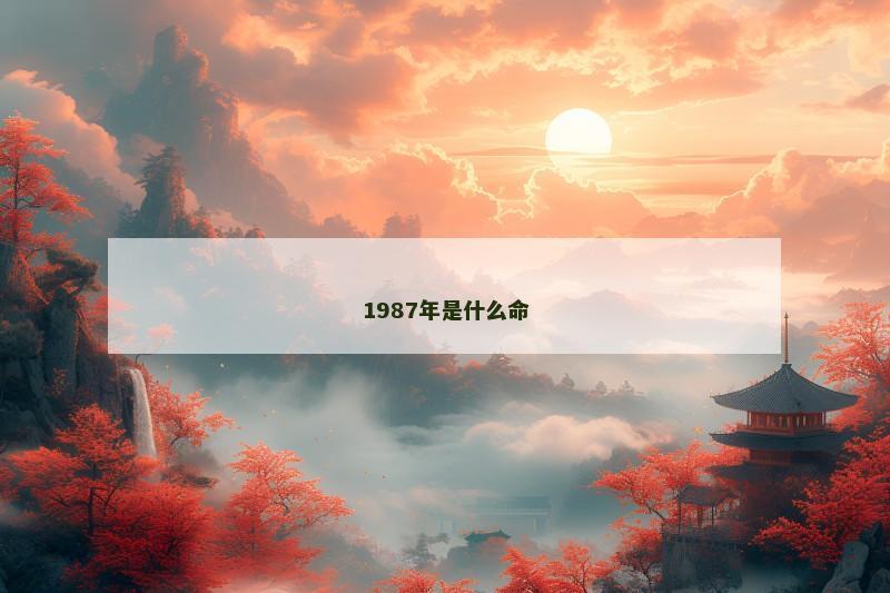 1987年是什么命