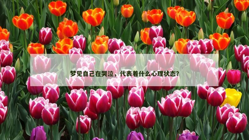 梦见自己在哭泣，代表着什么心理状态？
