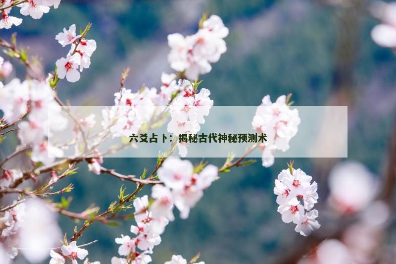 六爻占卜:揭秘古代神秘预测术