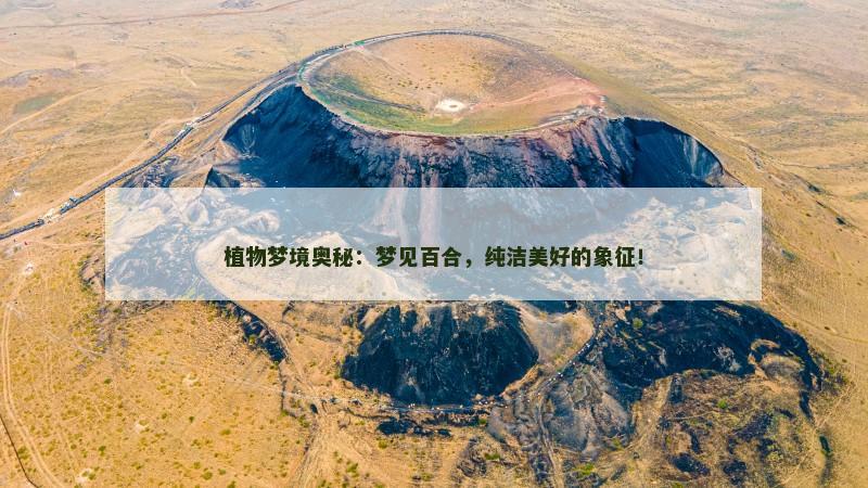 植物梦境奥秘：梦见百合，纯洁美好的象征！