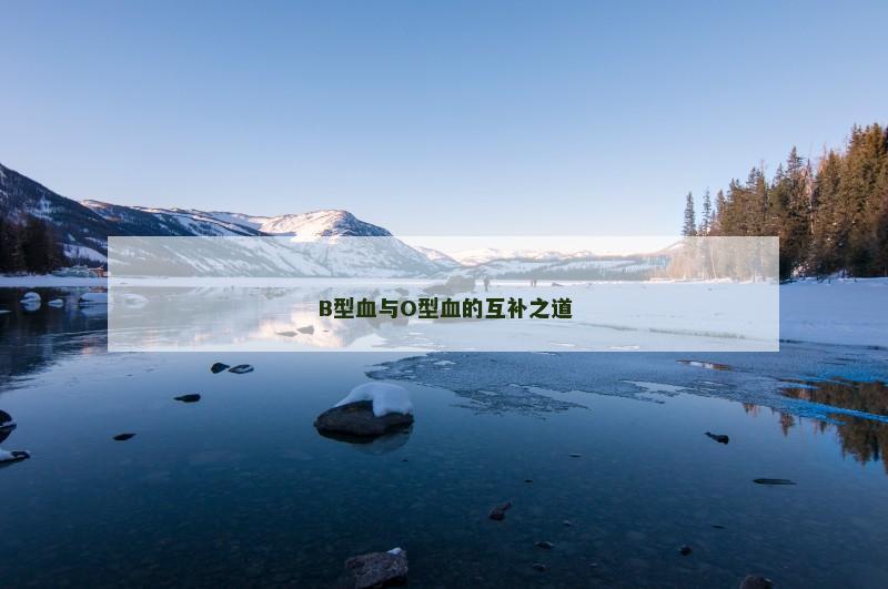 B型血与O型血的互补之道