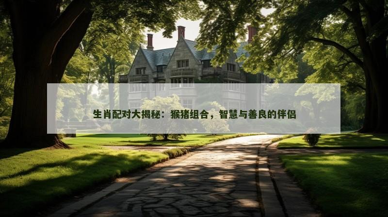 生肖配对大揭秘：猴猪组合，智慧与善良的伴侣