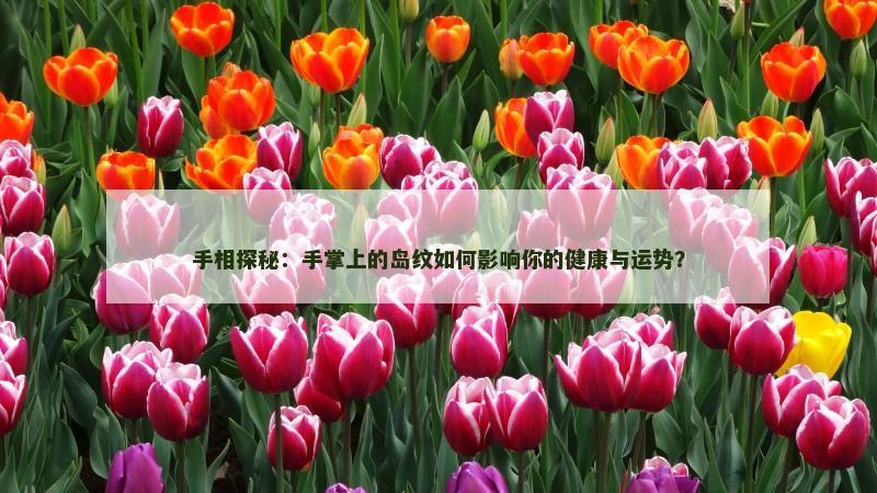 手相探秘：手掌上的岛纹如何影响你的健康与运势？
