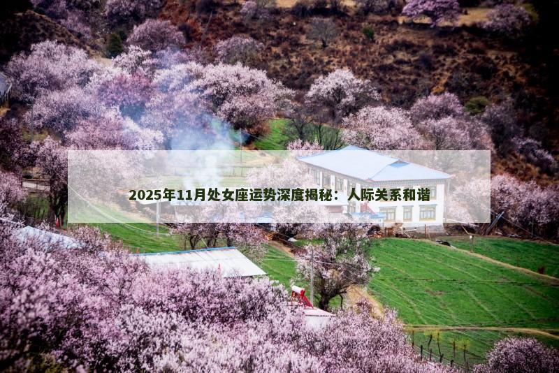 2025年11月处女座运势深度揭秘：人际关系和谐