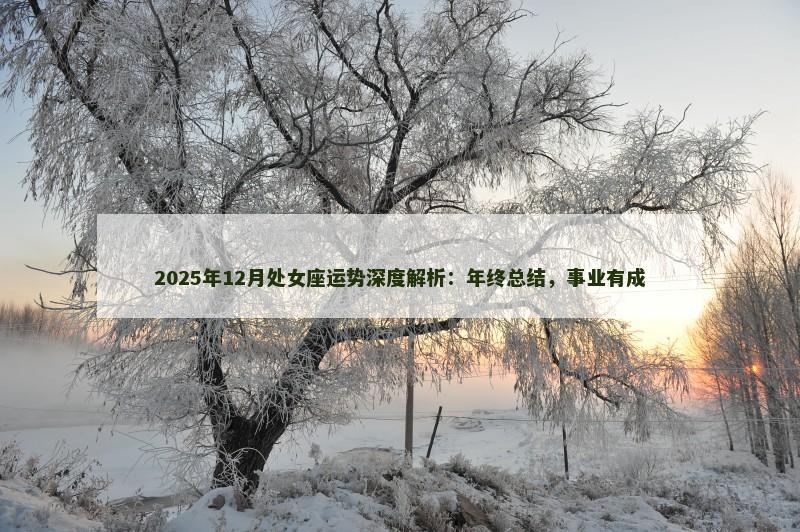 2025年12月处女座运势深度解析：年终总结，事业有成