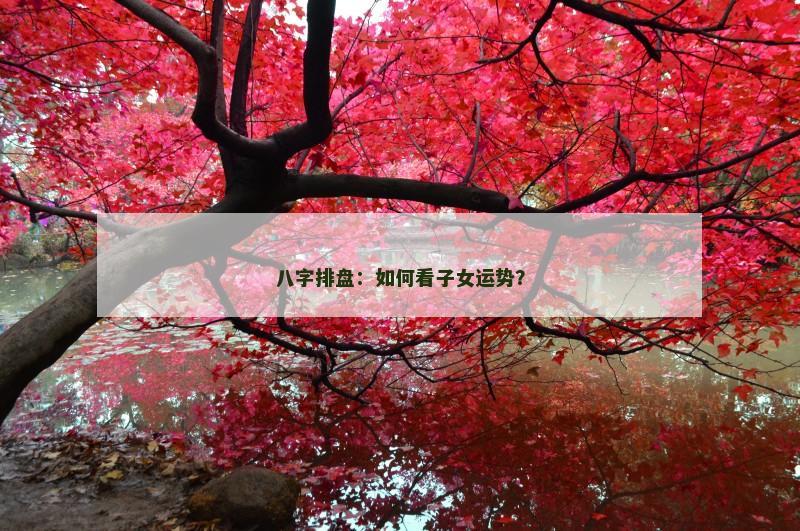 八字排盘：如何看子女运势？