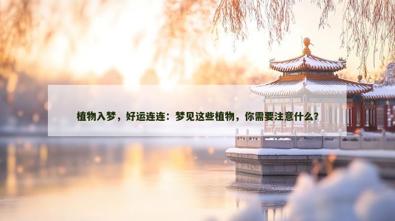 植物入梦，好运连连：梦见这些植物，你需要注意什么？