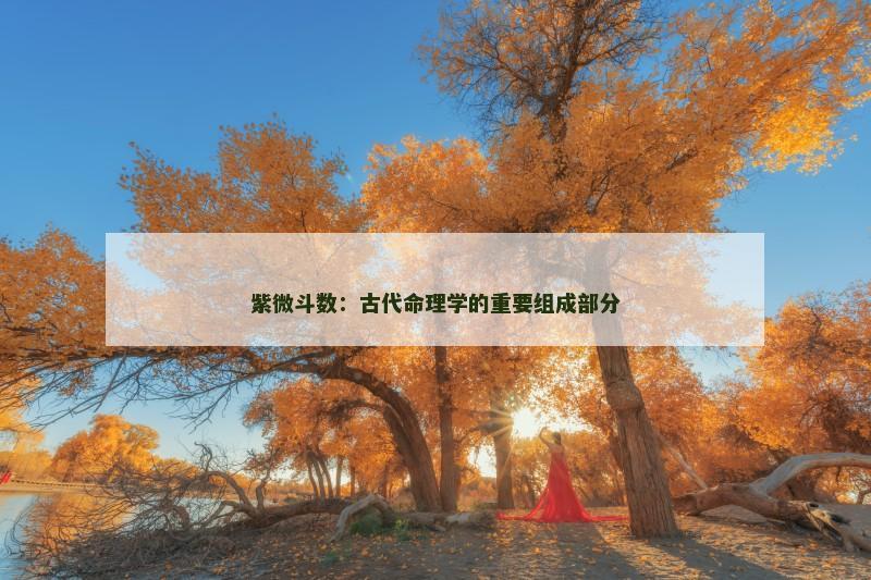 紫微斗数：古代命理学的重要组成部分