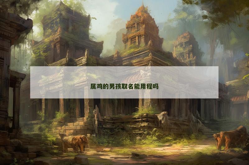 属鸡的男孩取名能用程吗