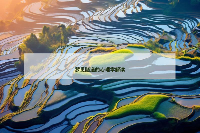 梦见隧道的心理学解读