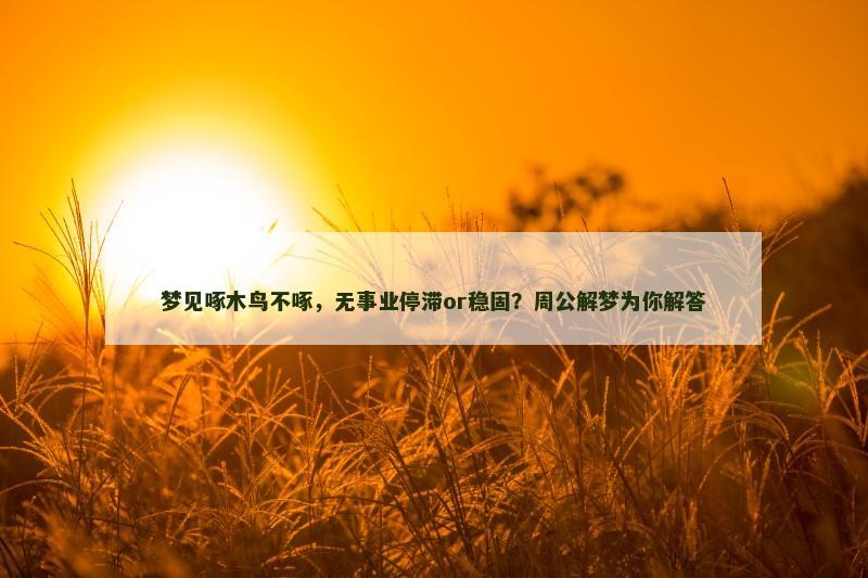 梦见啄木鸟不啄，无事业停滞or稳固？周公解梦为你解答
