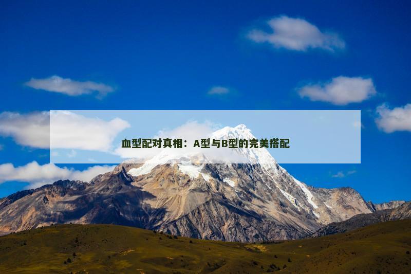 血型配对真相：A型与B型的完美搭配