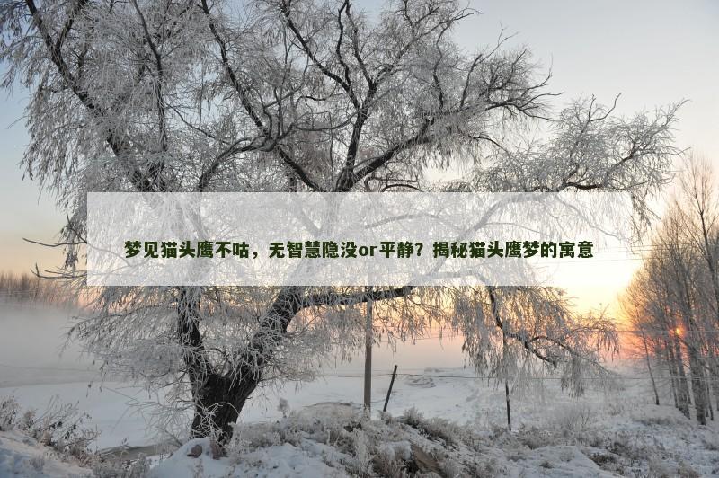 梦见猫头鹰不咕，无智慧隐没or平静？揭秘猫头鹰梦的寓意