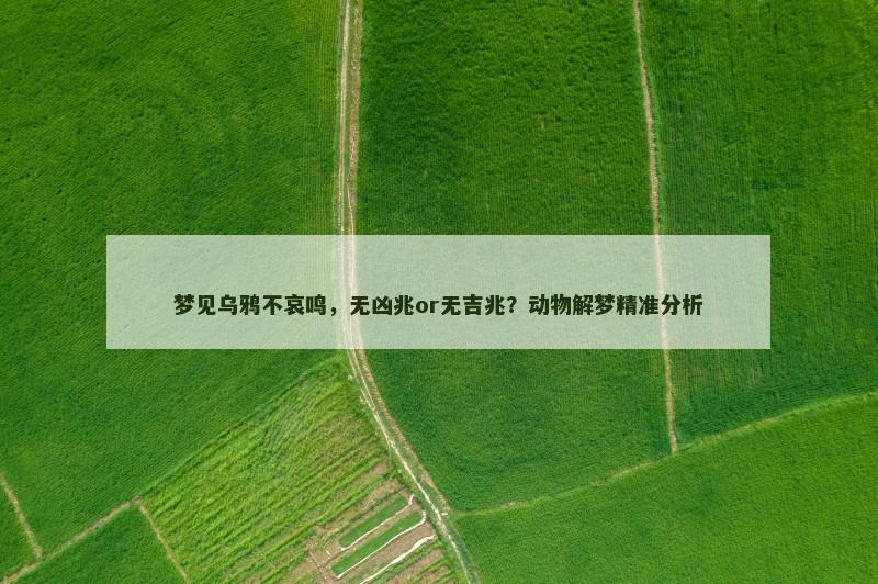 梦见乌鸦不哀鸣，无凶兆or无吉兆？动物解梦精准分析