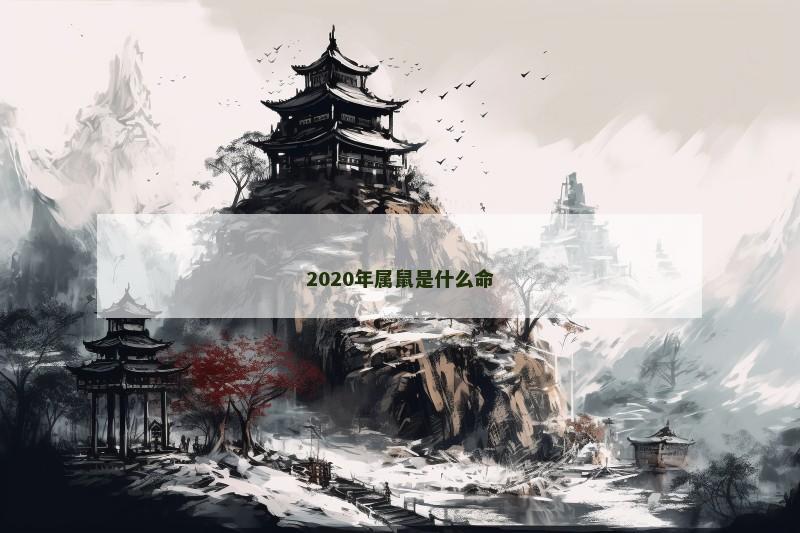2020年属鼠是什么命