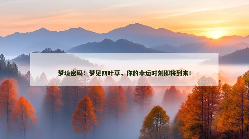 梦境密码：梦见四叶草，你的幸运时刻即将到来！