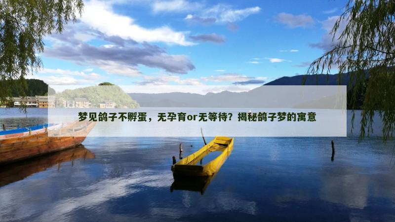 梦见鸽子不孵蛋，无孕育or无等待？揭秘鸽子梦的寓意