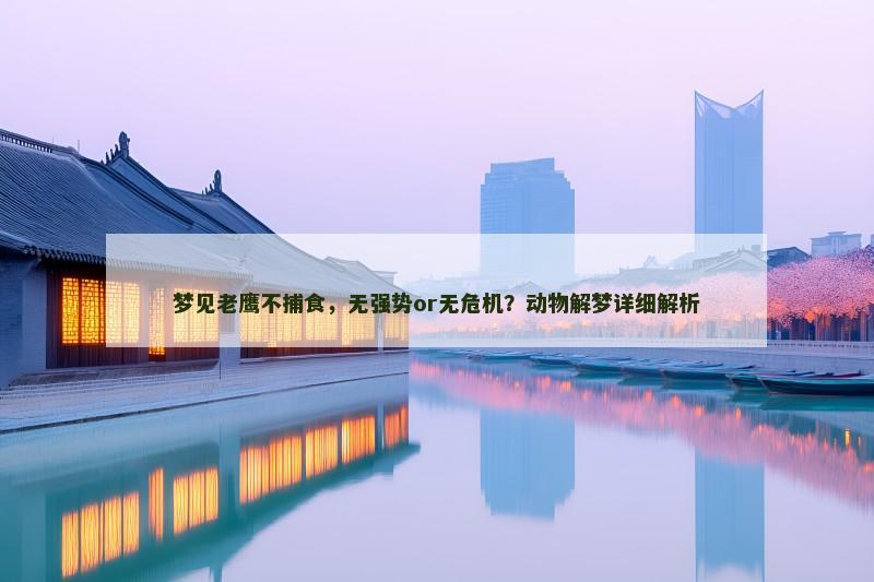 梦见老鹰不捕食，无强势or无危机？动物解梦详细解析