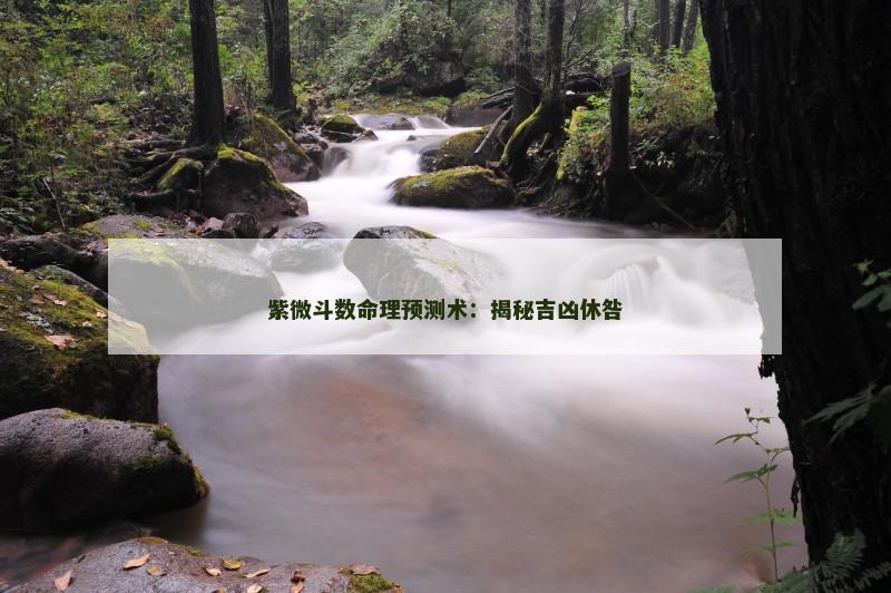 紫微斗数命理预测术：揭秘吉凶休咎