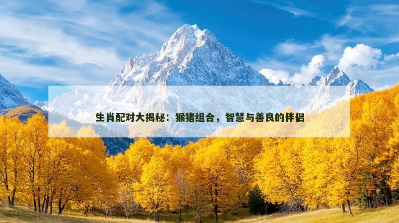 生肖配对大揭秘：猴猪组合，智慧与善良的伴侣