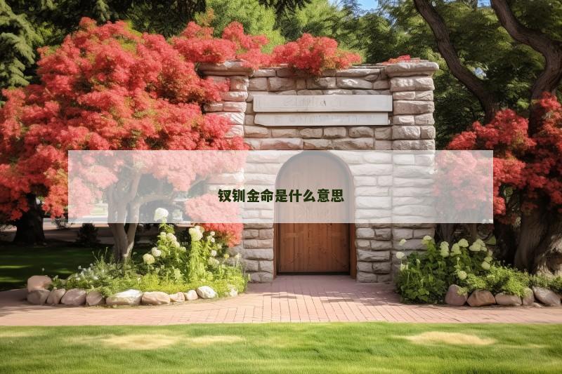 钗钏金命是什么意思