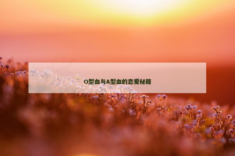 O型血与A型血的恋爱秘籍