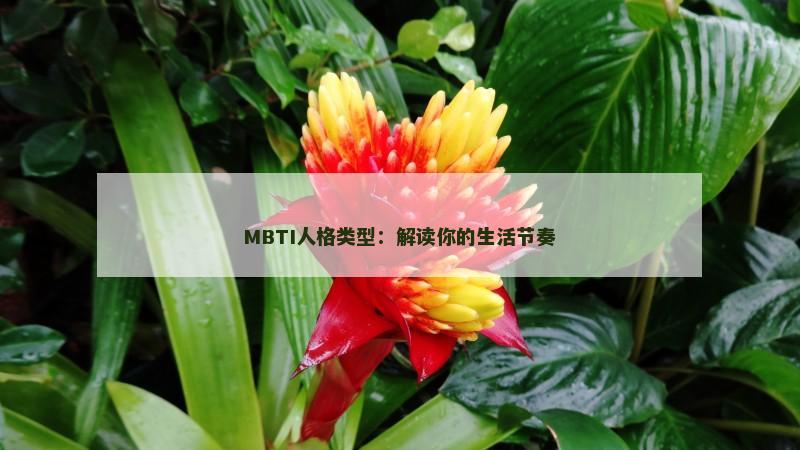 MBTI人格类型：解读你的生活节奏