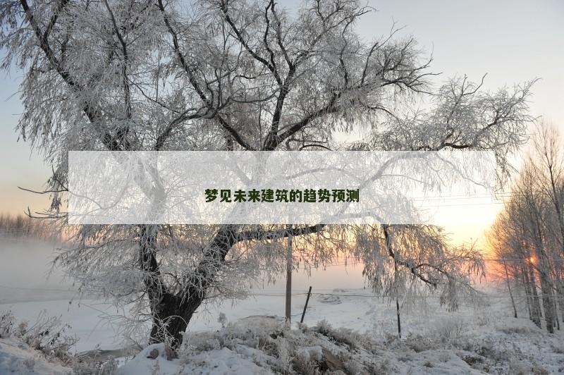梦见未来建筑的趋势预测