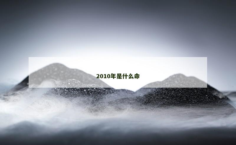 2010年是什么命