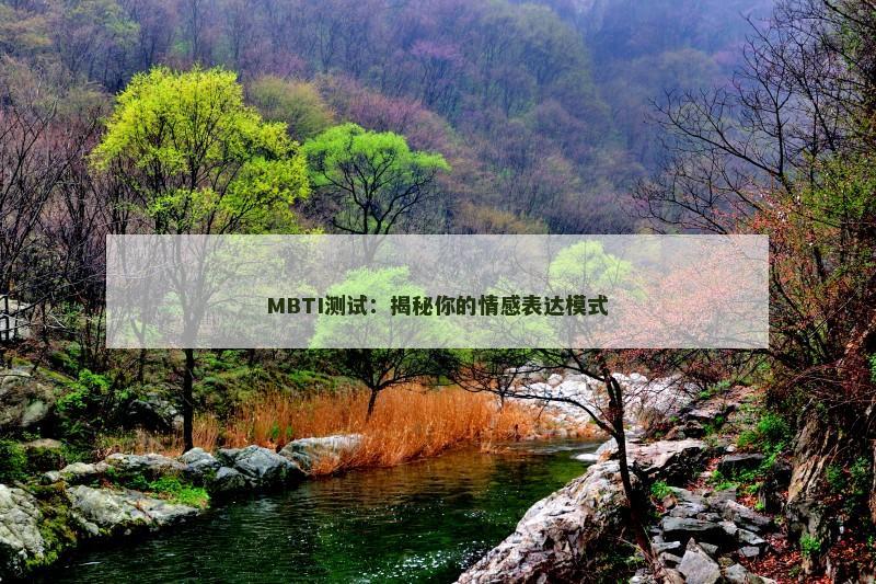 MBTI测试：揭秘你的情感表达模式