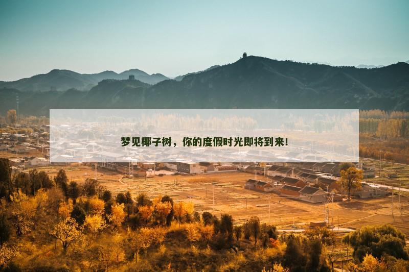 梦见椰子树，你的度假时光即将到来！