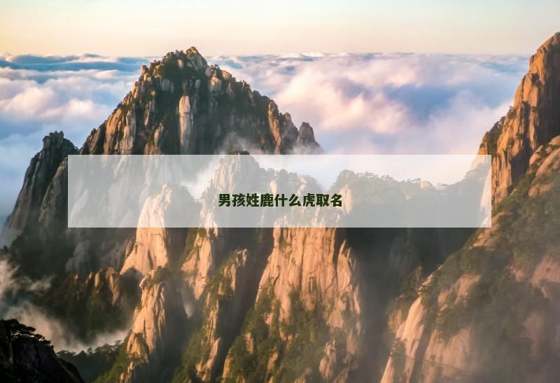 男孩姓鹿什么虎取名