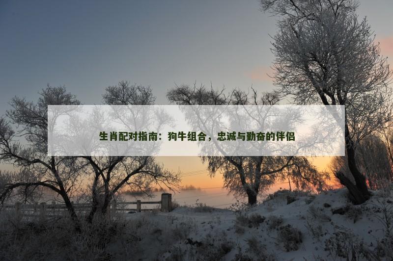 生肖配对指南：狗牛组合，忠诚与勤奋的伴侣