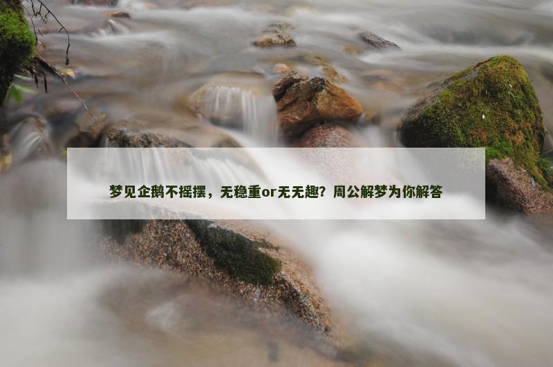 梦见企鹅不摇摆，无稳重or无无趣？周公解梦为你解答