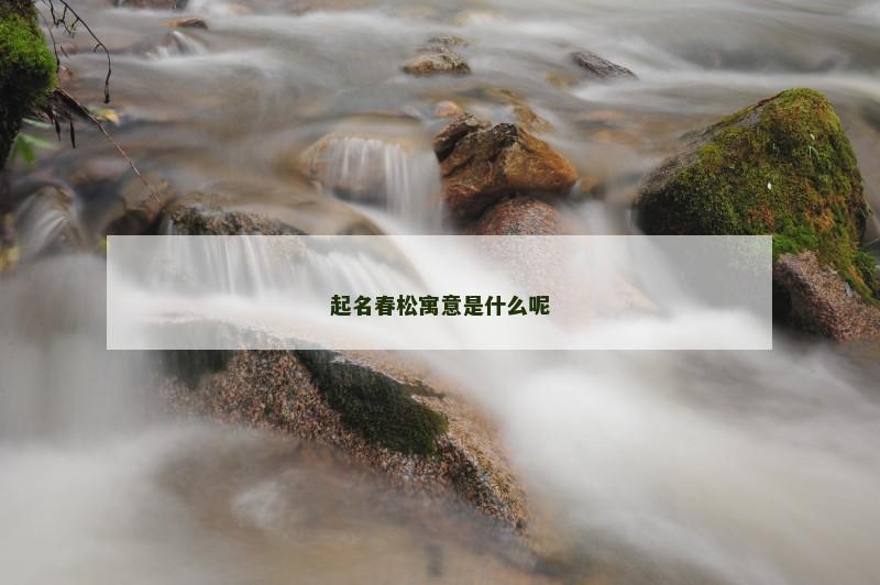起名春松寓意是什么呢