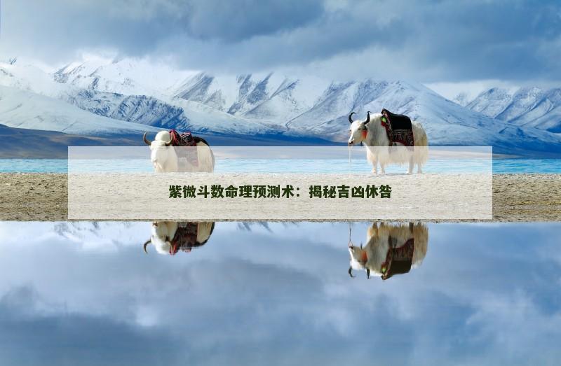 紫微斗数命理预测术：揭秘吉凶休咎