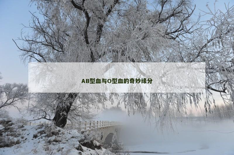 AB型血与O型血的奇妙缘分