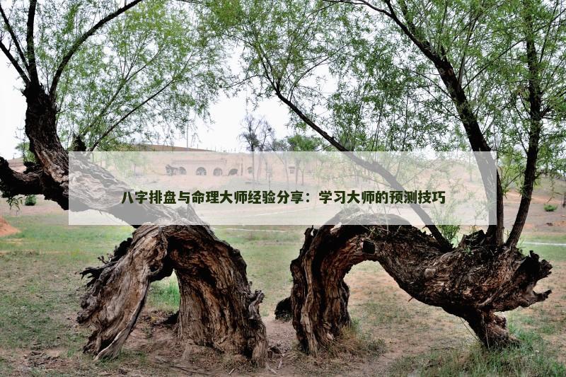 八字排盘与命理大师经验分享：学习大师的预测技巧