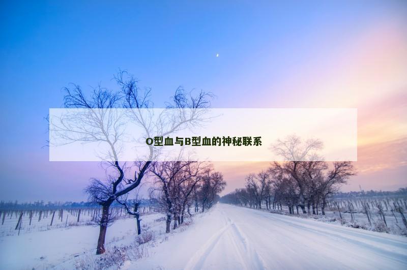 O型血与B型血的神秘联系