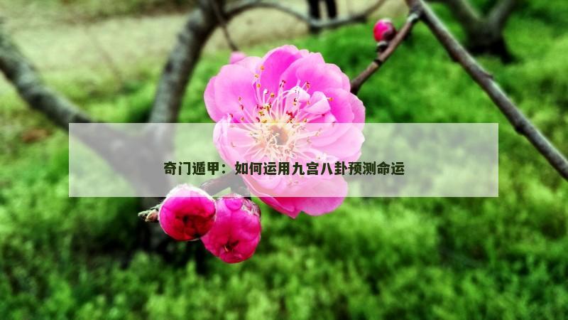 奇门遁甲：如何运用九宫八卦预测命运
