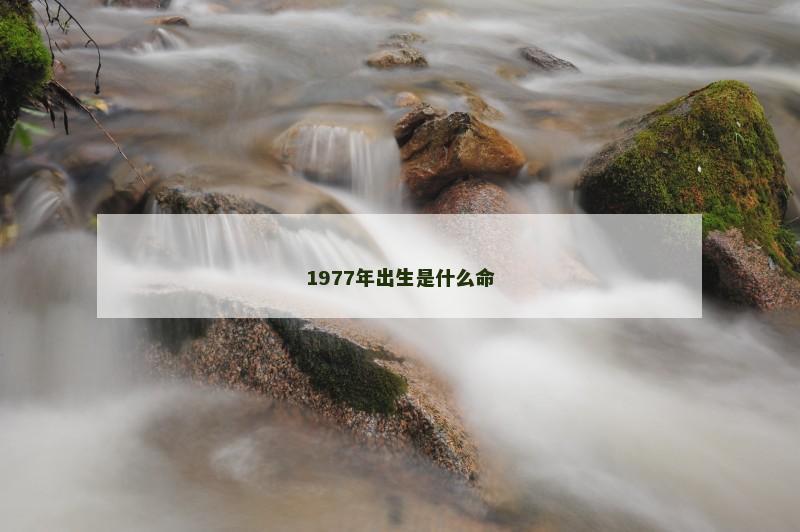 1977年出生是什么命